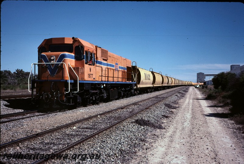 P12903
N class 1877 Kwinana, front and side view, wheat train
