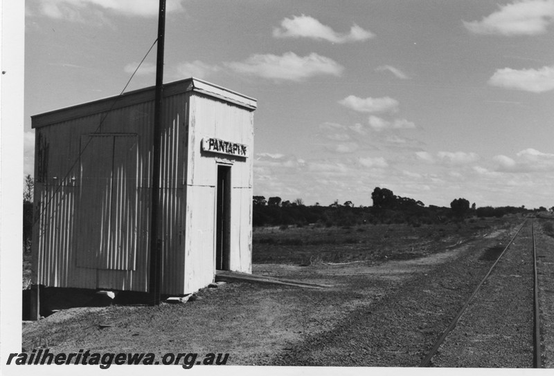 P12942
Out of Shed, Pantapin, YB line, side and trackside view.
