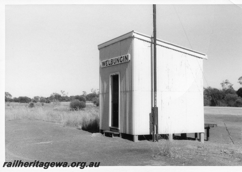 P12944
Out of Shed, Welbungin, WLB line, trackside and side view.
