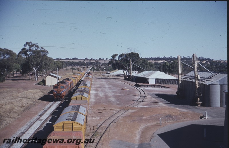 P12981
XA class, line of wheat wagons, station building, wheat bins, Calingiri, CM line, elevated view down the yard
