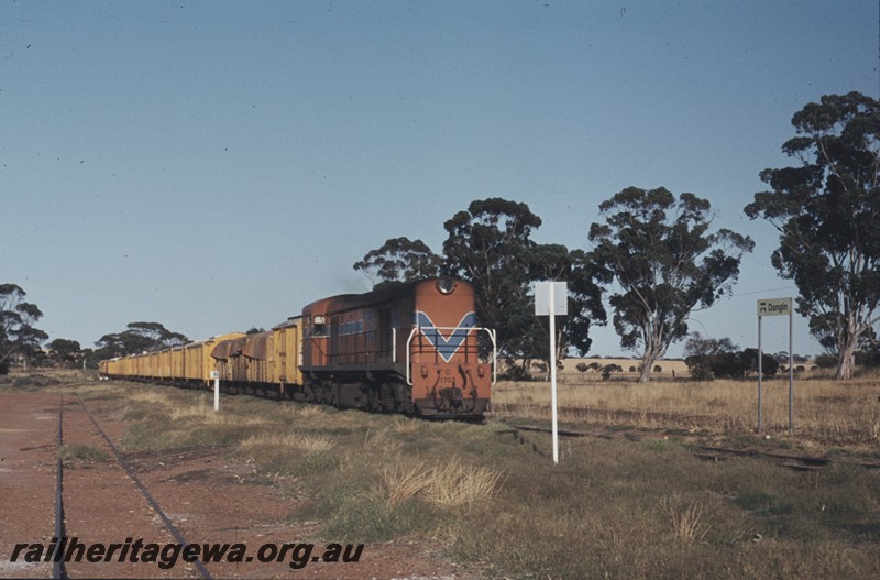 P12993
C class 1702, station nameboard, Dangin, YB line, wheat train.
