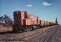 P12849.jpg