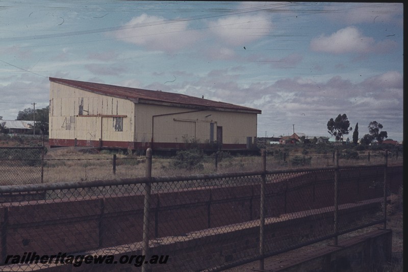 P13005
Goods shed, Boulder, B line, end and rear view
