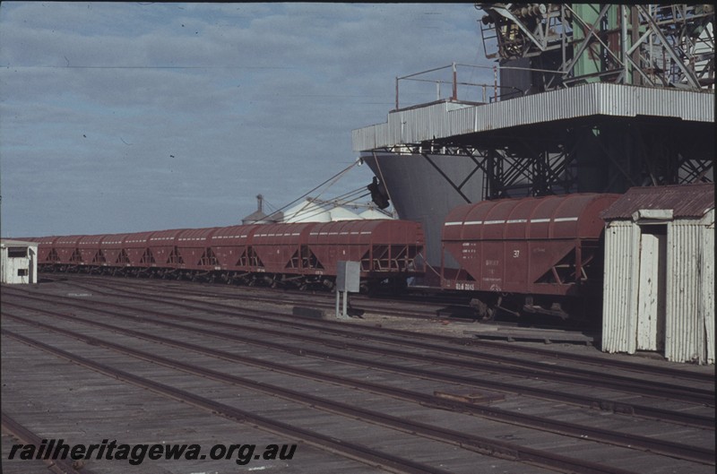 P13010
GSW class wheat hoppers, jetty, Bunbury, SWR line, line of hoppers on the jetty.
