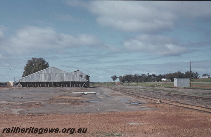 P13016
Shed, wheat bin, Burges, GSR line, view along the track
