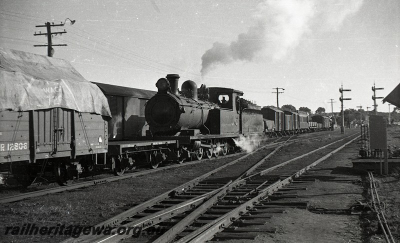 P13040
O class 2-8-0 T&T loco, tarpaulin covered GER class 12806, signals, Narrogin, GSR line, SWR line, shunting
