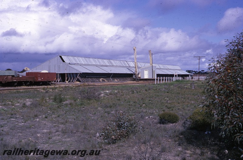 P13063
Out of Shed, wheat silo, Grass Patch, CE line, overall view from across the tracks.
