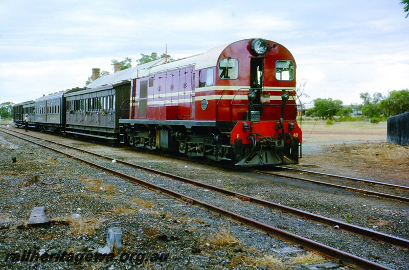 P13068
MRWA loco F class 40 with the overnight passenger train from Geraldton to Perth consisting of JA class, JV class, JA class and a brakevan, Muchea, MR line side and front view, 
