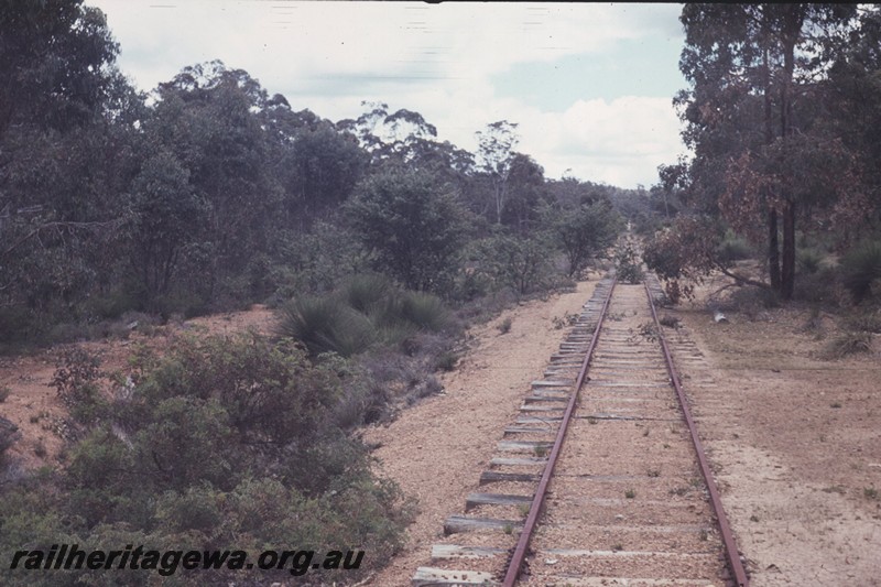 P13136
Site of former siding, Hotham, PN line, view along the track
