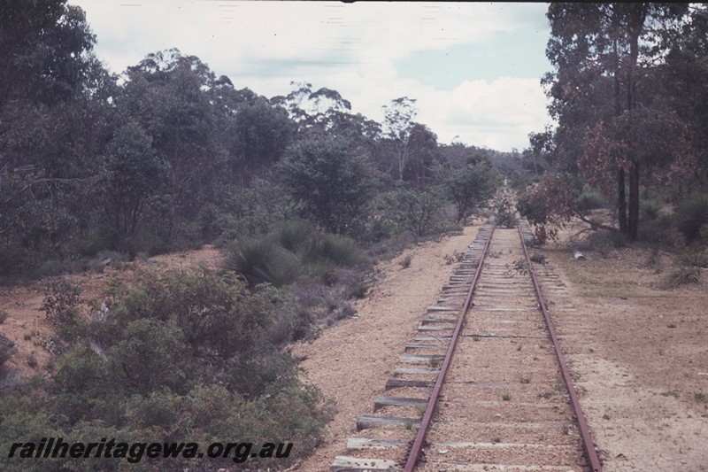 P13136
Site of former siding, Hotham, PN line, view along the track
