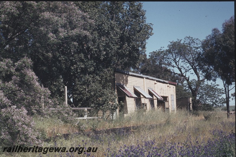 P13142
3 of 7 views of the abandoned, dilapidated and overgrown station at Grass Valley, EGR line, trackside view of the east end and front of the station building.
