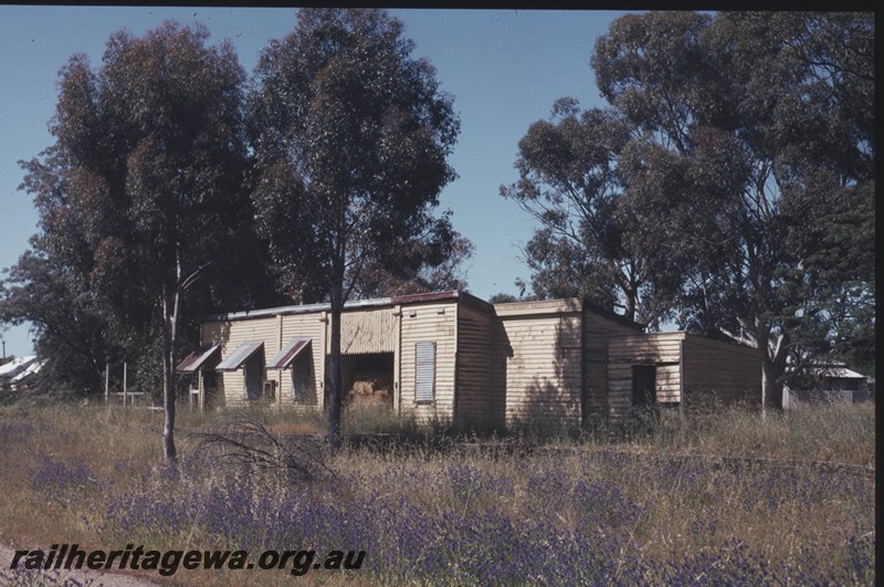 P13143
4 of 7 views of the abandoned, dilapidated and overgrown station at Grass Valley, EGR line, trackside view of the front and west end of the building, view shows the overgrown yard
