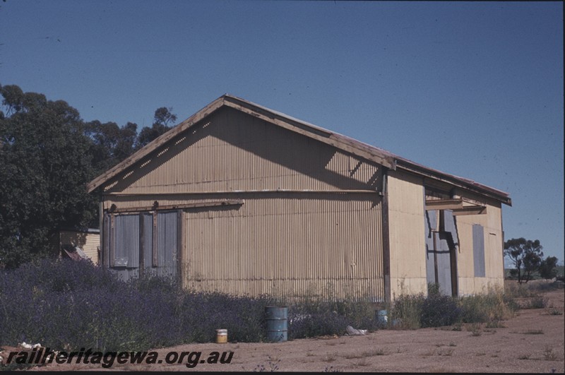 P13145
6 of 7 views of the abandoned, dilapidated and overgrown station at Grass Valley, EGR line, view shows the east end and side of the goods shed with the overgrown surrounds.
