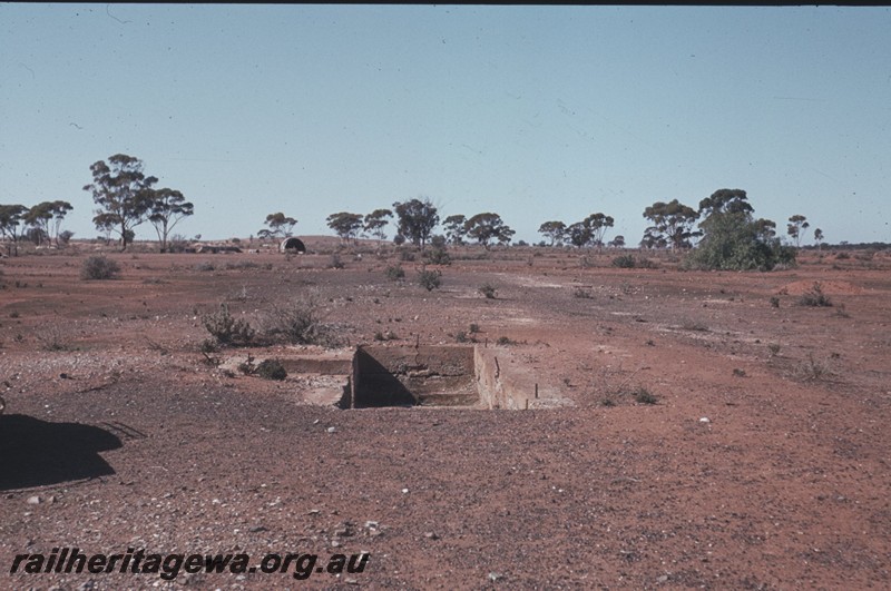 P13163
Weighbridge pit, Kanowna, Kalgoorlie to Kanowna line, abandoned, view along the line of the pit.
