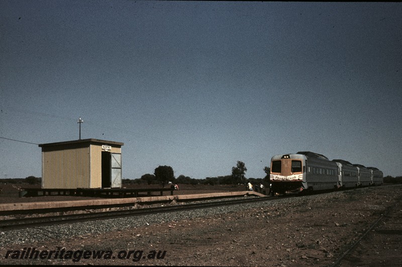 P13167
Prospector railcar set, platform, with shed, Kookynie, standard gauge KL line, 4 car set on ARHS tour train

