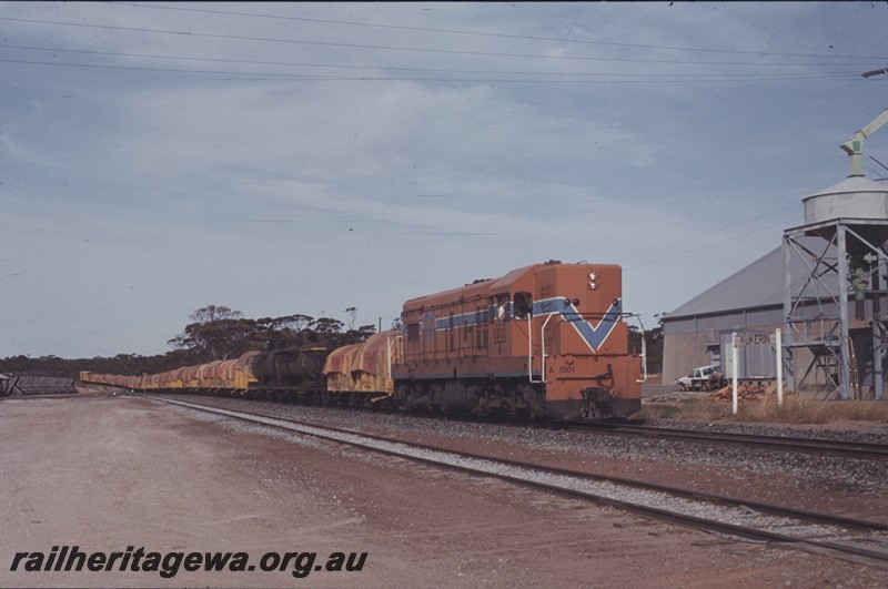 P13170
A class 1501, wheat bin, Kukerin, WLG line, wheat train
