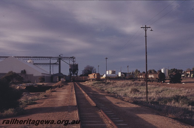 P13173
Yard, wheat bin with an over the track grain loader, Koorda, WLB line, overall view of the yard
