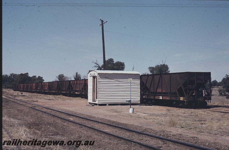 P13193
Shed with round roof with nameboard on the front, row of stored XA class coal hoppers, Muja, BN line, view along the yard.
