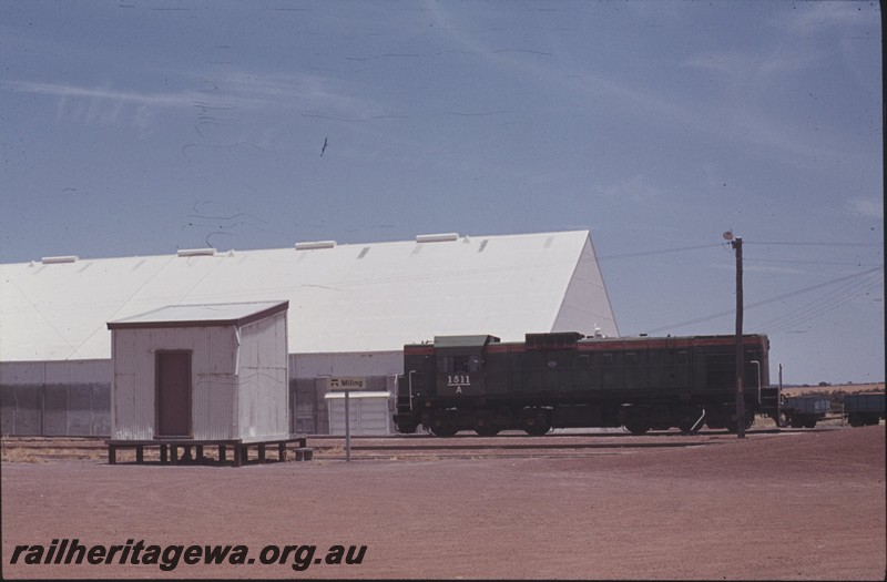 P13202
A class 1512, raised Out of Shed, wheat bin, Miling, CM line side view.
