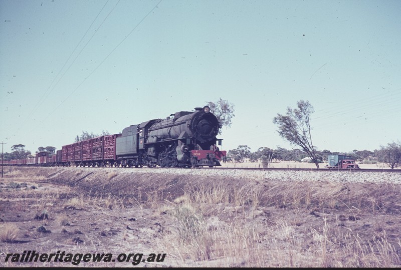 P13309
V class 1216, south of Wagin, GSR line, goods train
