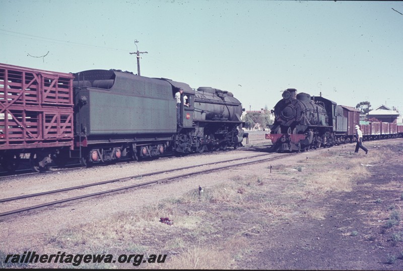 P13310
V class and W class 903 crossing, Wagin, GSR line, goods trains
