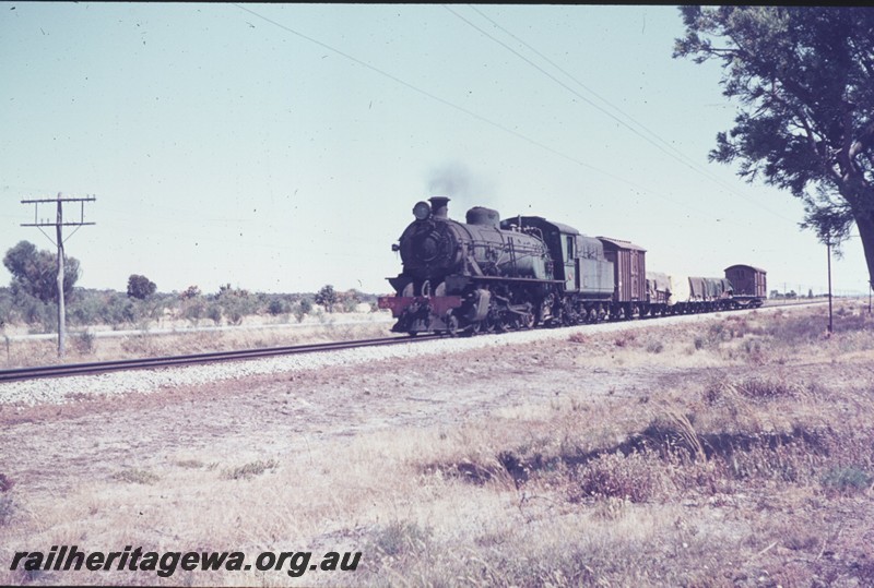 P13311
W class 903, south of Wagin, GSR line, goods train
