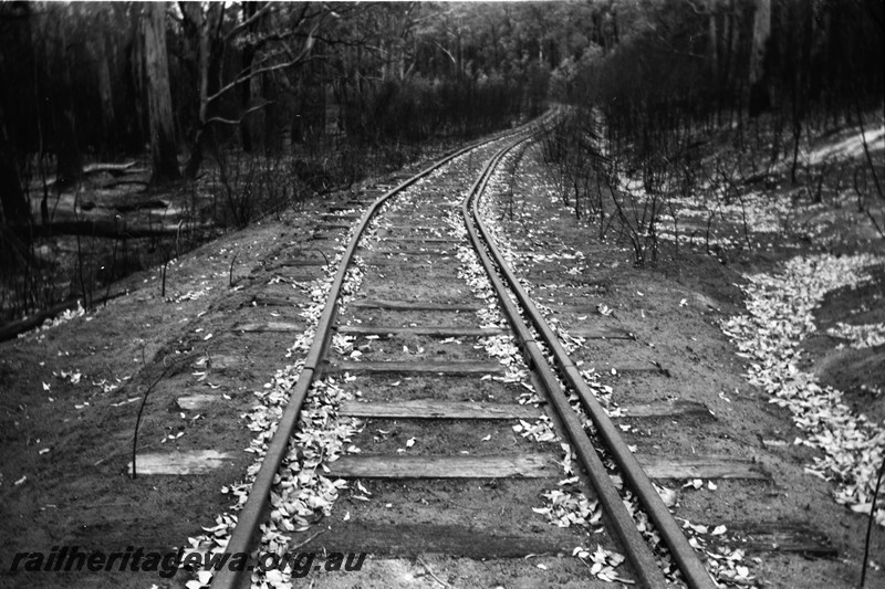 P13326
Track north of Karridale, BB line showing a kink in the track due to heat from a bushfire
