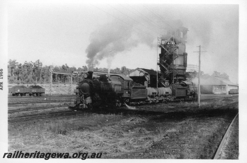 P13337
FS class 449, FS class 365 double heading, coaling tower, preparing to depart the Collie loco depot for the yard, BN line
