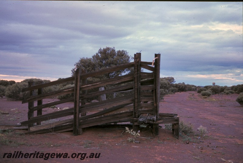 P13431
Stockyard race, abandoned, Sandstone, NR line, side view, trackage removed.
