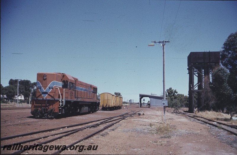 P13445
DA class 1574, goods shed, water tower, Wongan Hills, EM line, view down the yard.
