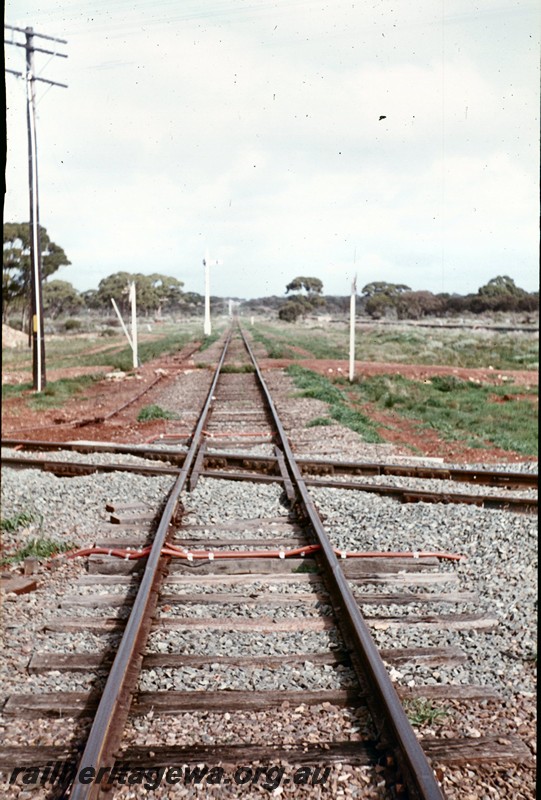 P13459
Crossing of the standard gauge and the narrow gauge lines at the 269m 50 ch siding near Binduli, EGR line
