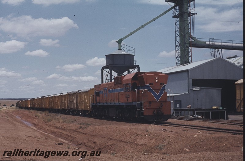P13462
A class 1514, elevated station shed with nameboard, wheat bin, Welbungin, WLB line, wheat train.
