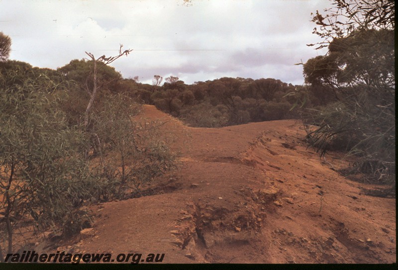 P13468
Track formation to the smelters at Ravensthorpe, HR line, abandoned and degraded
