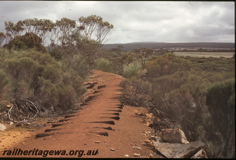 P13469
Track formation to the smelters at Ravensthorpe, HR line, abandoned and degraded, view sleepers still surviving
