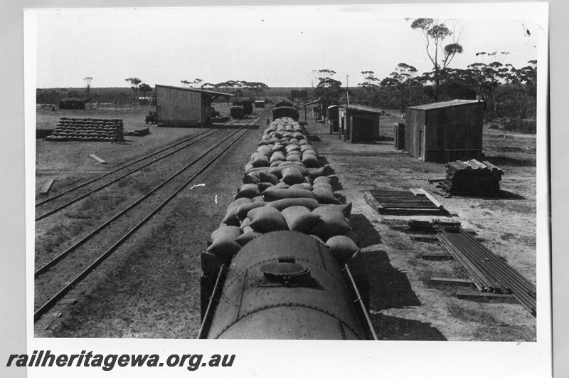 P13601
Wagons loaded with bags, station buildings, goods shed, Salmon Gums, CE line, view along the train
