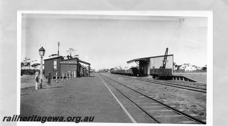 P13602
Wagons loaded with bags, station buildings, goods shed, Salmon Gums, CE line, opposite end of station to P13601
