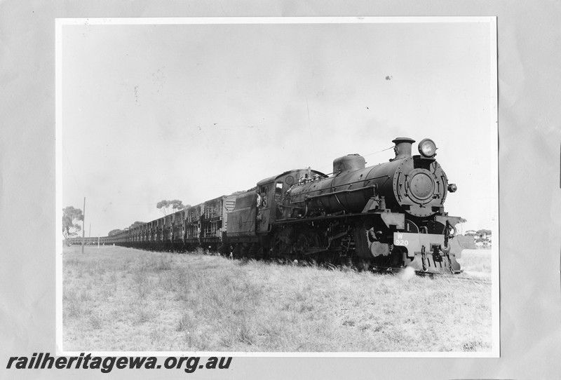 P13619
W class 920 with train of sheep wagons, 