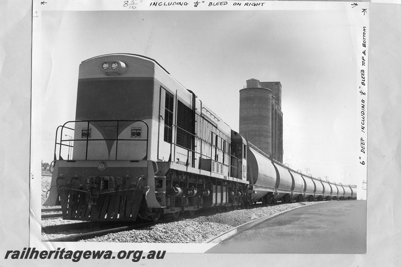 P13662
K class 203 hauling a train of WW class grain hoppers, West Merredin, Standard Gauge line, first standard gauge grain train from Merredin
