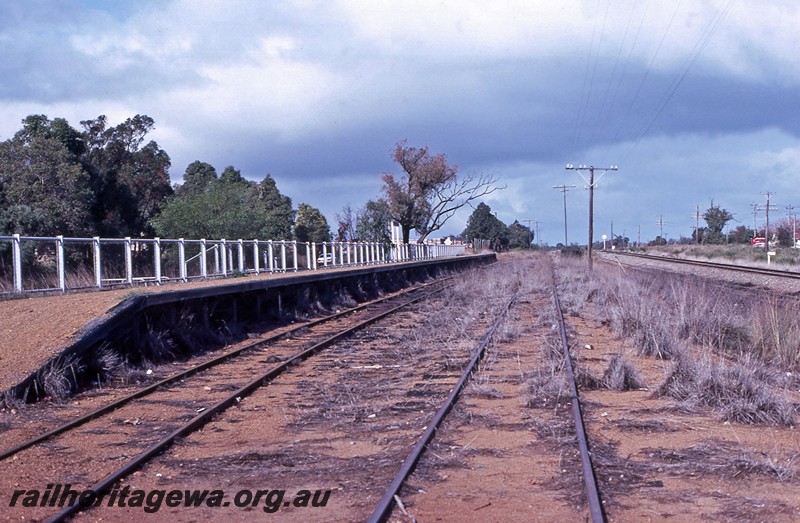 P13684
Station platform, Tredale, SWR line, view from north end with siding.
