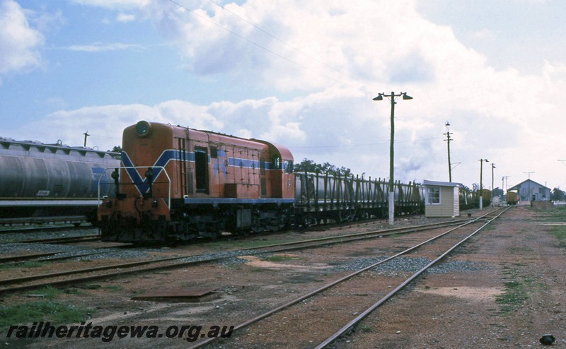 P13686
F class 40, Pinjarra, SWR line, stabled narrow gauge goods train.
