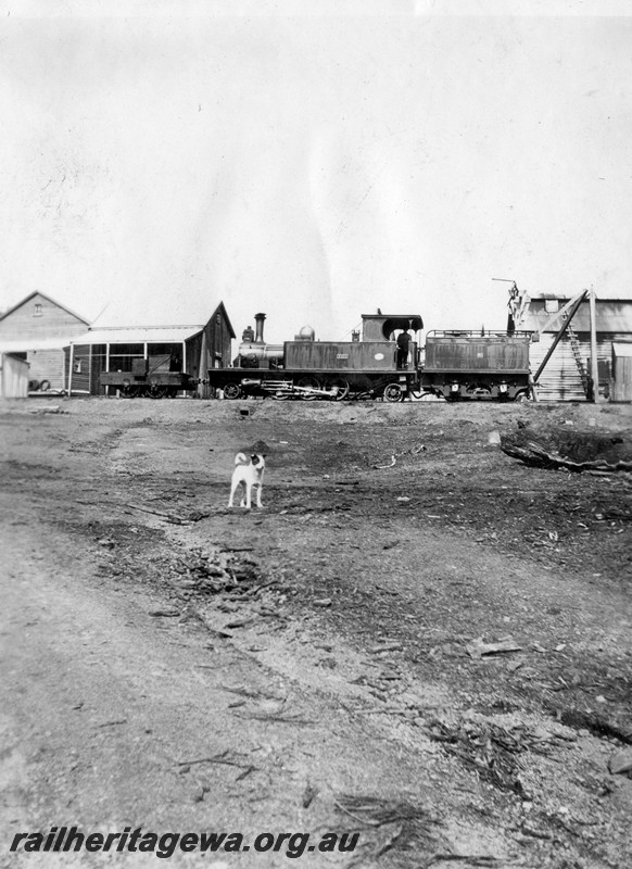 P13695
5 of 6 images of the mill town of Jarnadup, renamed Jardee in 1925, Millars loco 