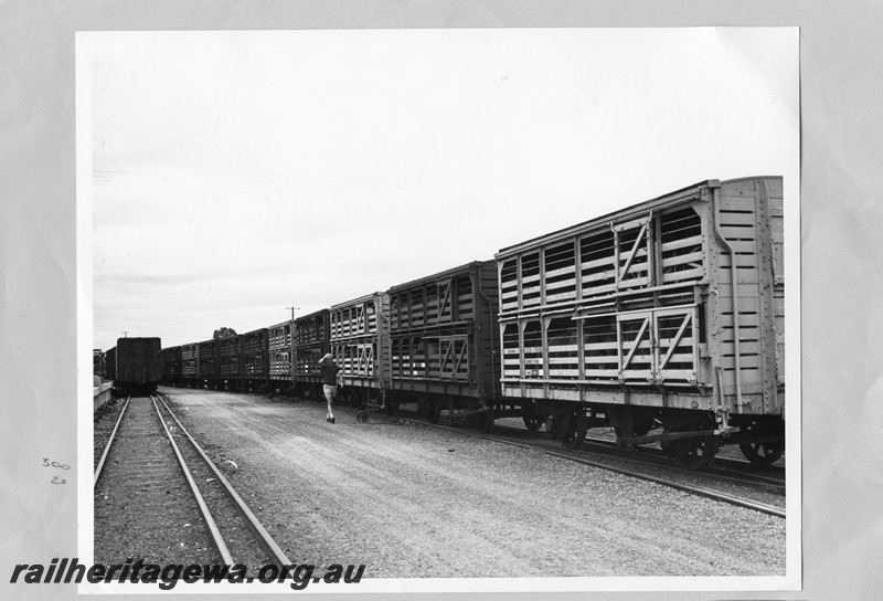 P13709
CXB class 17580 heading a line of similar wagons
