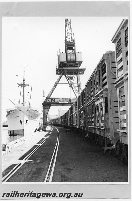 P13728
CXB class sheep wagons, wharf crane, Fremantle Wharf, unloading sheep for shipment to the Arabian Gulf
