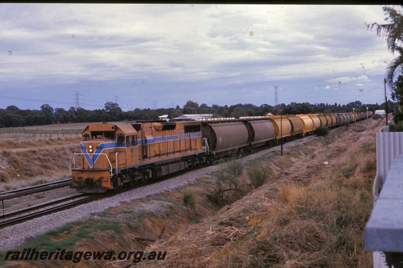 P13806
L class 251, Hazelmere heading towards Forrestfield, grain train.
