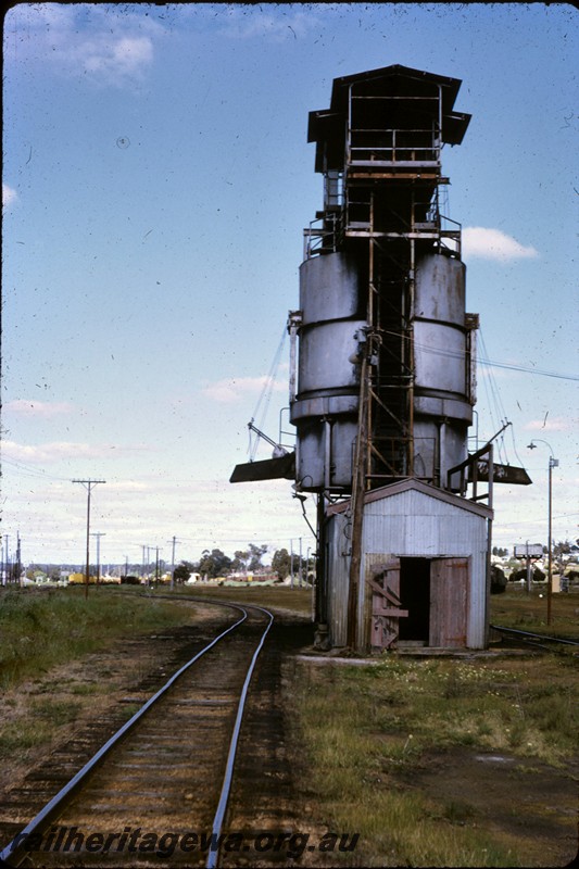 P13827
Coal stage, Collie, BN line, end view along the track
