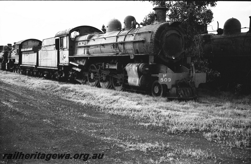 P13859
P class 509, stowed, side and front view.
