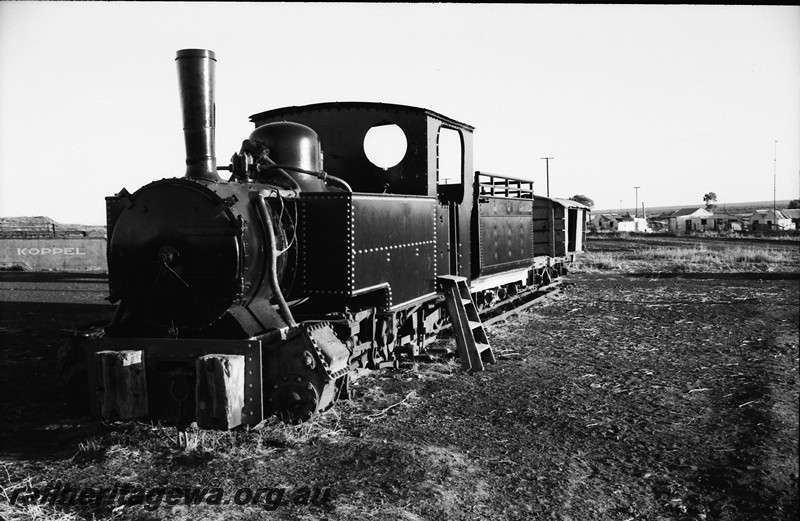 P13863
Sons of Gwalia loco 