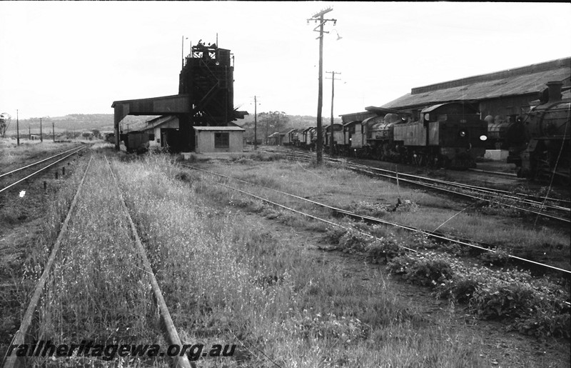 P13913
DD class 591 and other loco stowed at Northam, view also shows the coal stage
