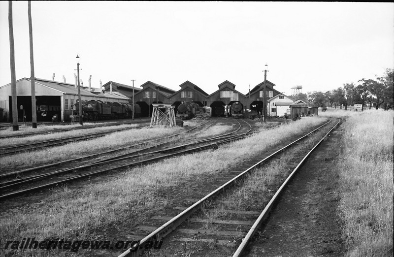 P13983
14 of 17 images of locos, trains and buildings at the East Perth Loco Depot, locos in front of the east end of the loco shed
