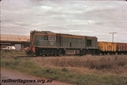 P13821.jpg